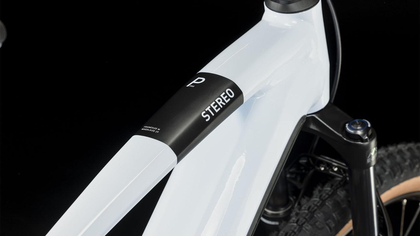 cube stereo hybrid 120 pro 750 - e-mountainbike Cube Stereo Hybrid 120 Pro 750 – BIKE SERVICE